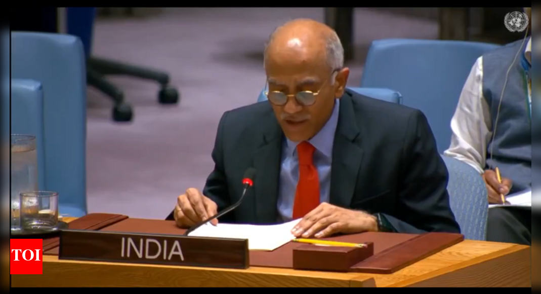 ‘Serial borrower from IMF’: India mocks Pakistan at UN; cites terror, economic rot 