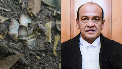 Delhi Judge Cash Row: SC Probe Panel Report Says Misconduct Proved, Proposes Justice Varma’s Removal