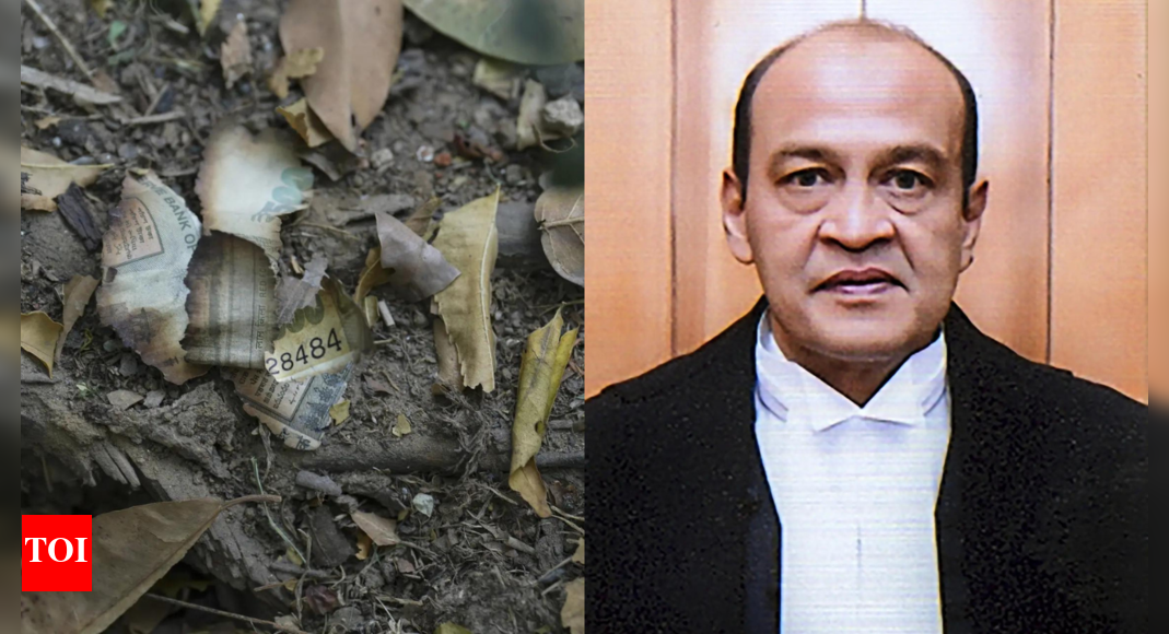 Justice Varma case: Supreme Court sets up special bench; CJI Gavai recuses himself