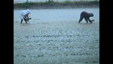 Overnight rains lash Telangana; authorities on high alert in flood-prone areas