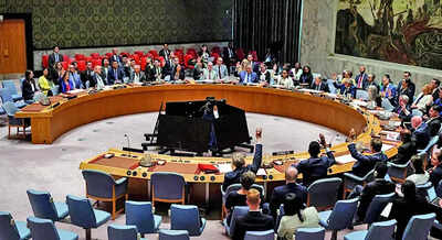 Pak steeped in terrorism, says India as Islamabad rakes up J&K in UNSC