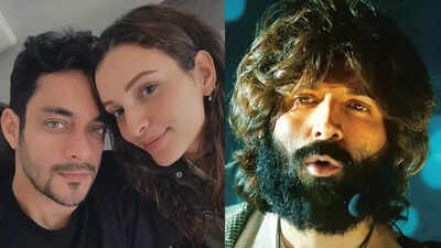 Triptii Dimri’s rumoured beau Sam Merchant REACTS to a post trolling Kartik Aaryan’s ‘Aashiqui 3’ look: ‘Saiyaara ne baazi maar li’