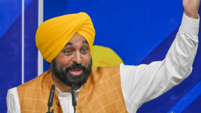 Punjab govt to develop 4,000 sports grounds to fight drug menace, promote youth sports: CM Mann