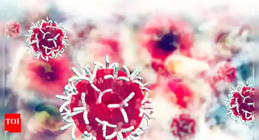 Cancer-fighting gut bacteria that can absorb forever chemicals in the body discovered by scientists from Cambridge University | – Times of India