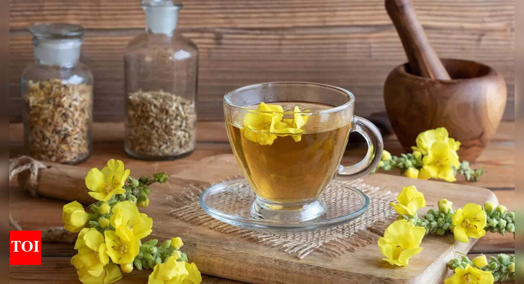 10 benefits of mullein tea: A natural remedy for cough, cold, and asthma | – Times of India