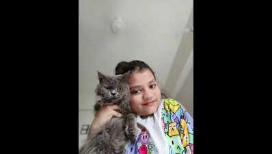 Persian cat abandoned in Navi Mumbai, schoolgirl gets it adopted
