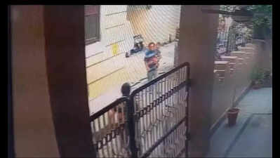 Street dogs attack toddler in Kota, CCTV captures