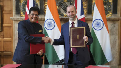 Visa boost for desi professionals, chefs in trade agreement