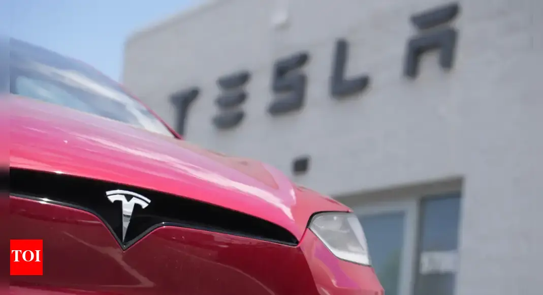 Tesla braces for 'rough qtrs' as US sops end, shares crash 10%