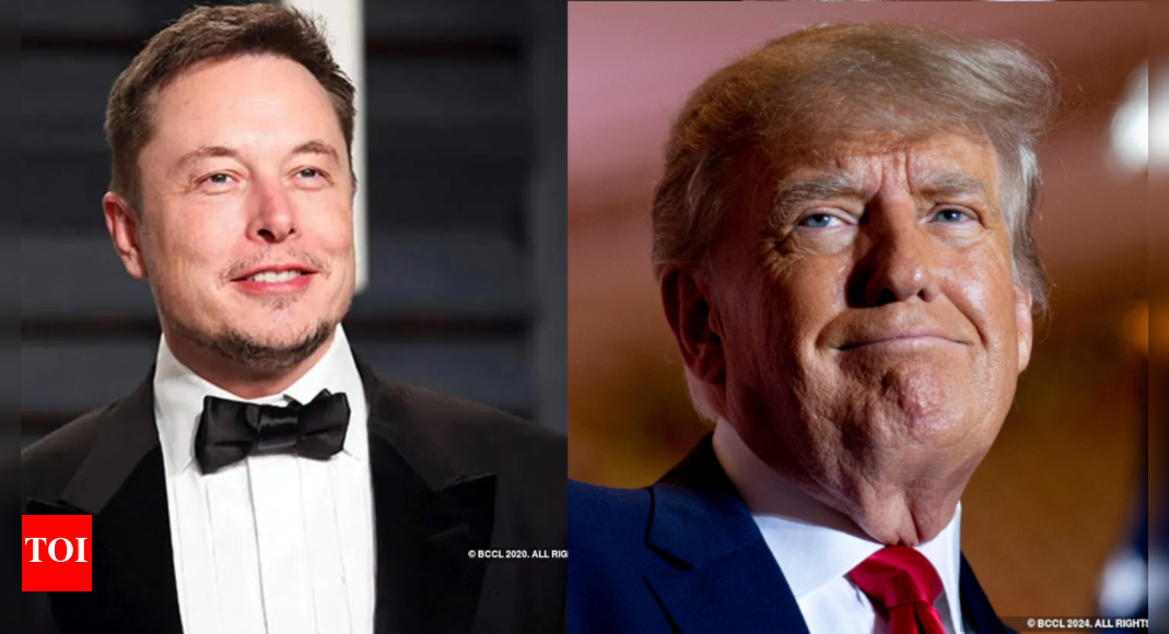 Musk's reply on post saying Trump does no want to destroy Elon's companies
