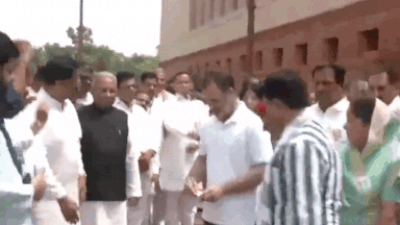 Watch: Rahul Gandhi, Priyanka Gandhi, Dimple Yadav tear SIR placards; protest enters fifth day of monsoon session