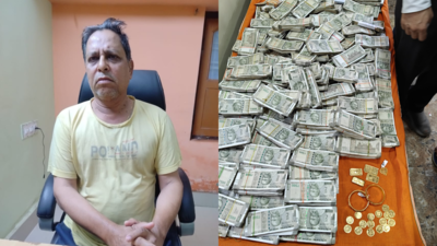 Odisha vigilance seizes Rs 1.44 crore cash, gold from Jeypore forest officer’s flat