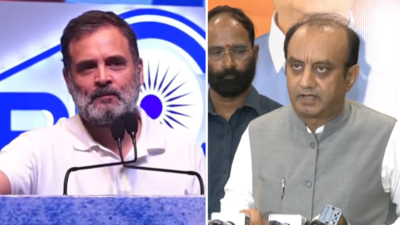 Rahul Gandhi mocks PM Modi, says he's not a big problem; BJP reacts