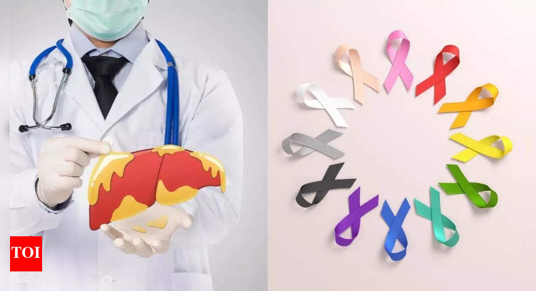 Can fatty liver increase cancer risk? Know the signs and how to prevent it | – Times of India