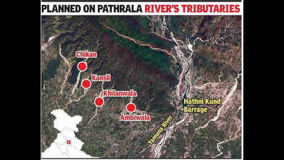 Constructing dams in Kalesar sanctuary will cause irreversible damage, CEC tells SC