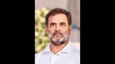 Rahul hails T caste survey as blueprint for social justice 2.0, lauds CM Revanth