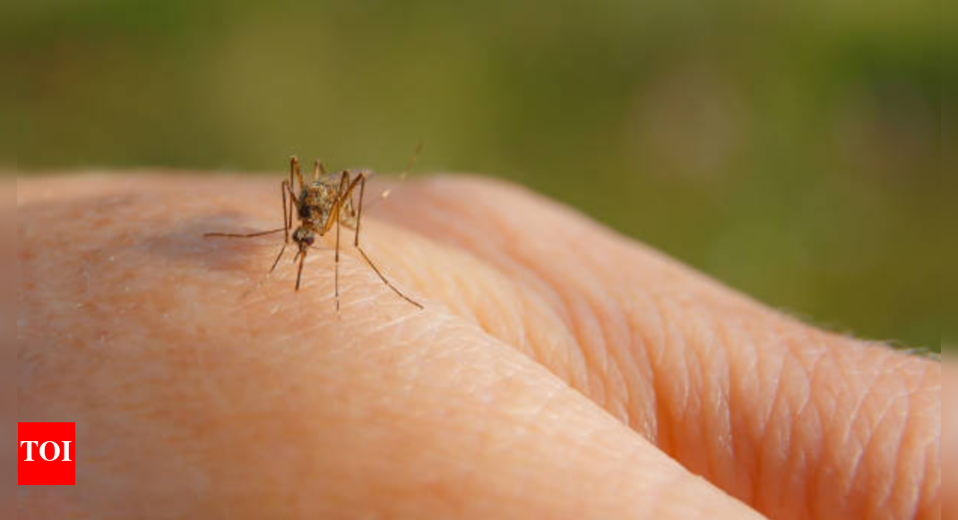 Is West Nile Virus on the Rise? Learn How to Identify Early Symptoms!