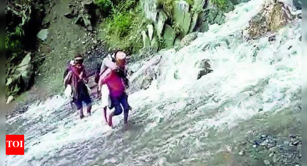Risking lives on piggyback: Himachal kids brave perilous journeys to school