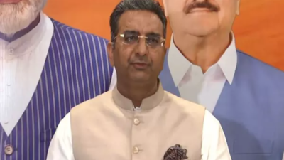 'Rahul Gandhi has always insulted OBC': BJP fires back after '2nd Ambedkar' remark; accuses Congress of mocking backward community