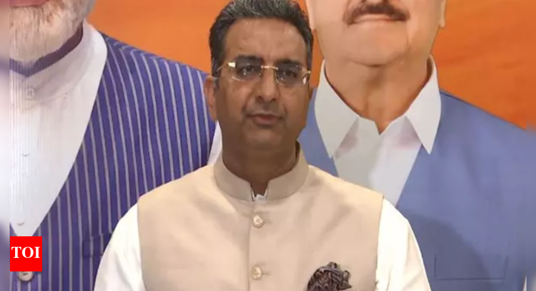 'Rahul Gandhi has always insulted OBC': BJP fires back after '2nd Ambedkar' remark; accuses Congress of mocking backward community