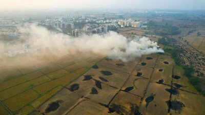 Punjab government rolls out fresh strategy to combat stubble burning