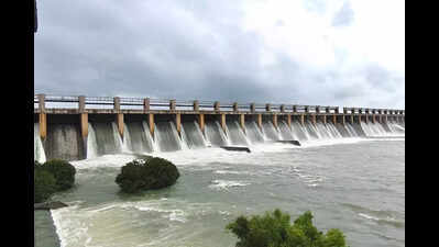 26 gates of Tungabhadra dam lifted to discharge 78,000 cusecs of water