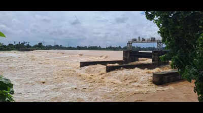 Flood threat in N Odisha dists as 3 rivers swell