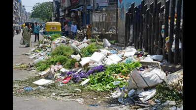 Bengaluru’s waste crisis sparks call for decentralised action