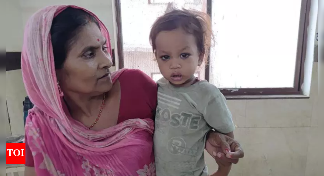 ‘Like Krishna vs Kaliya’: 2-year-old boy in Bihar bites cobra to death after it coils around his hands | Patna News – Times of India