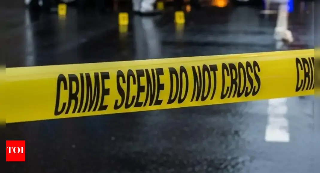 SHOCKING Stabbing Spree: 11 Injured at Michigan Walmart! What Happened?