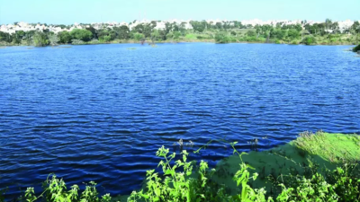 Karnataka government geotags over 31,000 waterbodies in restoration effort