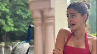 Ananya Panday reveals her ‘Most Terrifying Moment’ on set of Rajasthan film shoot - see pics