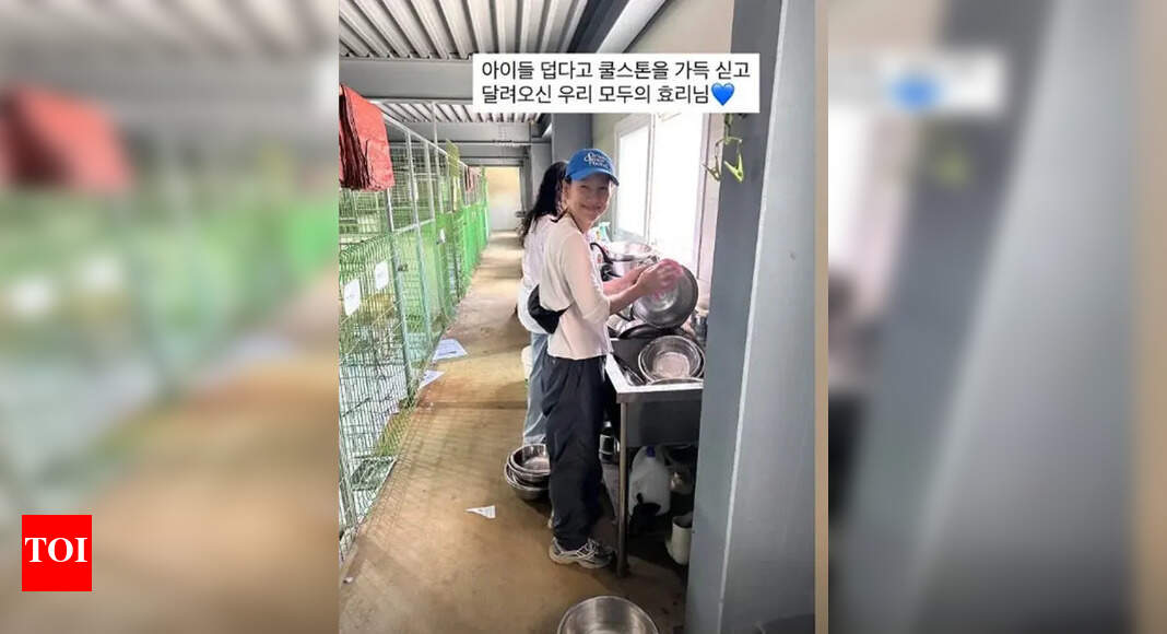 https://static.toiimg.com/thumb/msid-122934397,width-1070,height-580,imgsize-42160,resizemode-75,overlay-toi_sw,pt-32,y_pad-40/photo.jpg