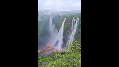 Linganamakki dam water level rises after persistent rain in Western Ghats