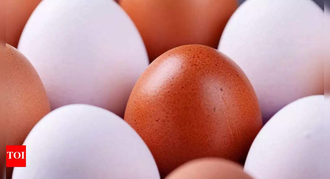 White eggs vs brown eggs: What is the difference and which is healthier?