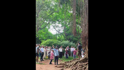 First week of Cubbon Walks sees full bookings in Bengaluru