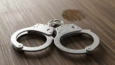 Ex-Maharashtra mantri kin, 6 others held in Pune drug party bust