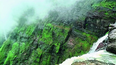 300 trekkers rescued from forest in 7hr operation at Malshej Ghat as Kalu river rises