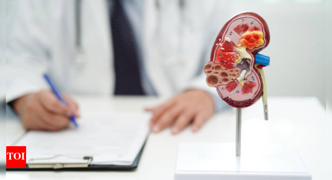 Worst foods for your kidneys (that you are probably eating daily) |
