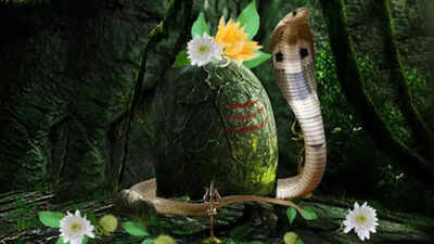 Nag Panchami 2025 to be Observed on July 29; Check shubh muhurat, puja vidhi and significance
