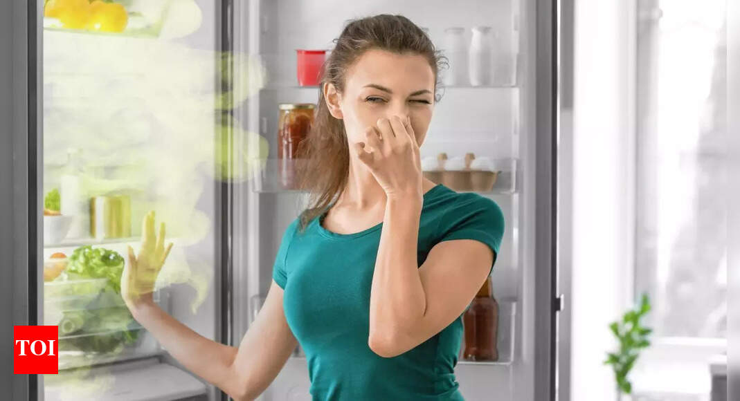 Try this one common ingredient to get rid of that unpleasant kitchen smell in the rainy season | – Times of India