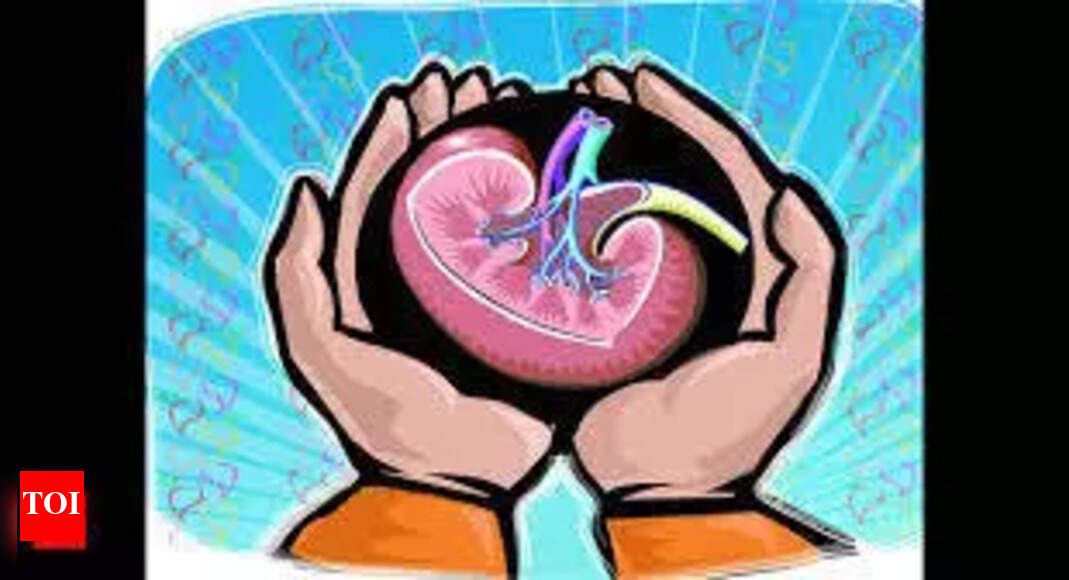 Persons with history of diabetes, high BP can be deceased donors: Expert group