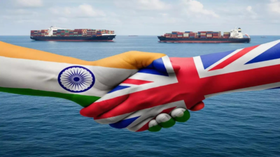  Rs 4,060 crore hit in first year; customs revenue loss to widen by 10th year