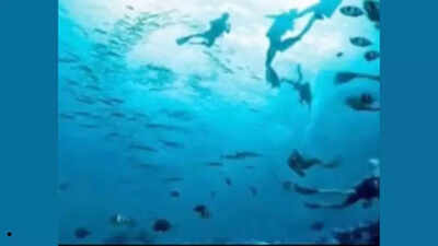 ஆப்டிகல் மாயை ஆளுமை சோதனை: மீன் மற்றும் மூழ்காளர் அல்லது முகங்கள்? நீங்கள் முதலில் பார்ப்பது மற்றவர்களால் எளிதில் முட்டாளாக்கப்பட்டால் வெளிப்படுத்துகிறது