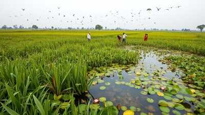 India showcases its wetland conservation model at COP15, cites its achievements