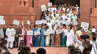  NDA MP protests against Islamic cleric’s comment on Dimple Yadav; slams SP chief Akhliesh Yadav’s silence