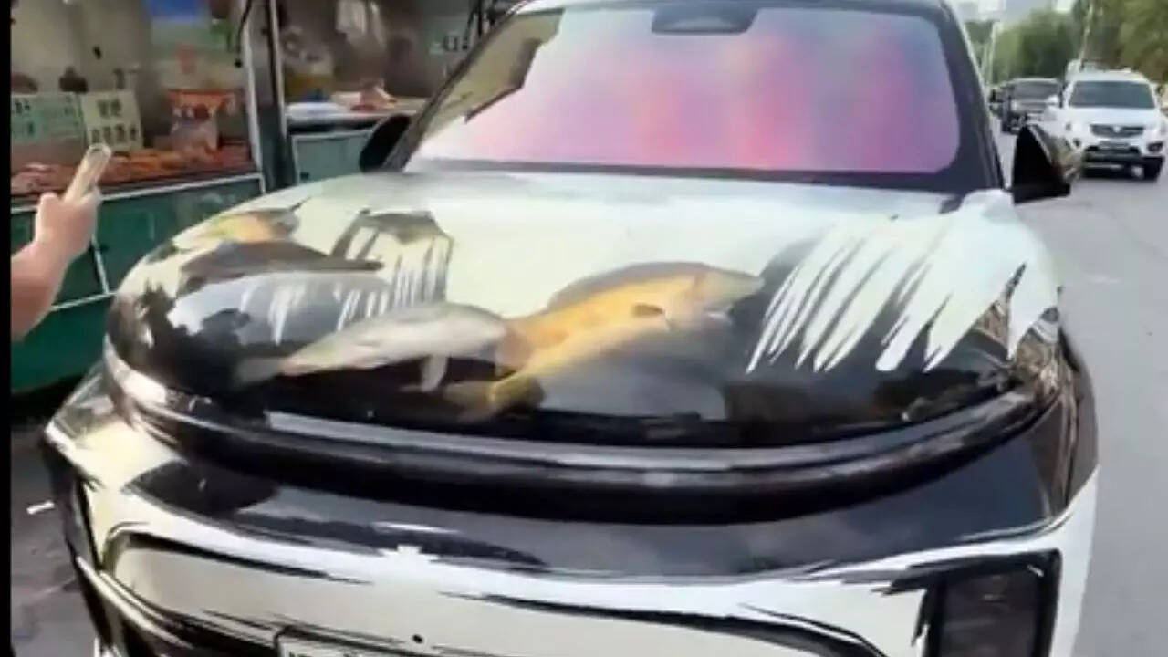 car based on box fish Mercedes-Benz Bionic