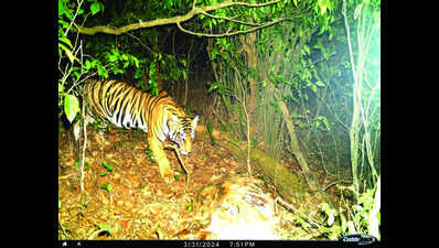 Human-animal conflicts rise as state drags its feet