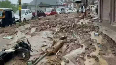 Himachal Pradesh rain fury: 2 dead, 2 missing after Mandi experiences heavy rainfall; several roads blocked