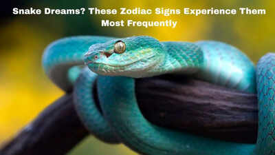 Snake Dreams? These Zodiac Signs Experience Them Most Frequently